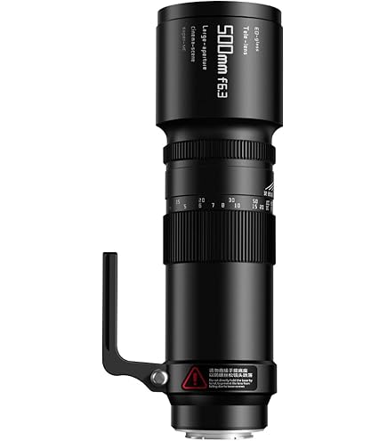 Amazon.co.jp: シグマ 170-500mm F5-6.3 APO DG ニコン用 : 家電＆カメラ