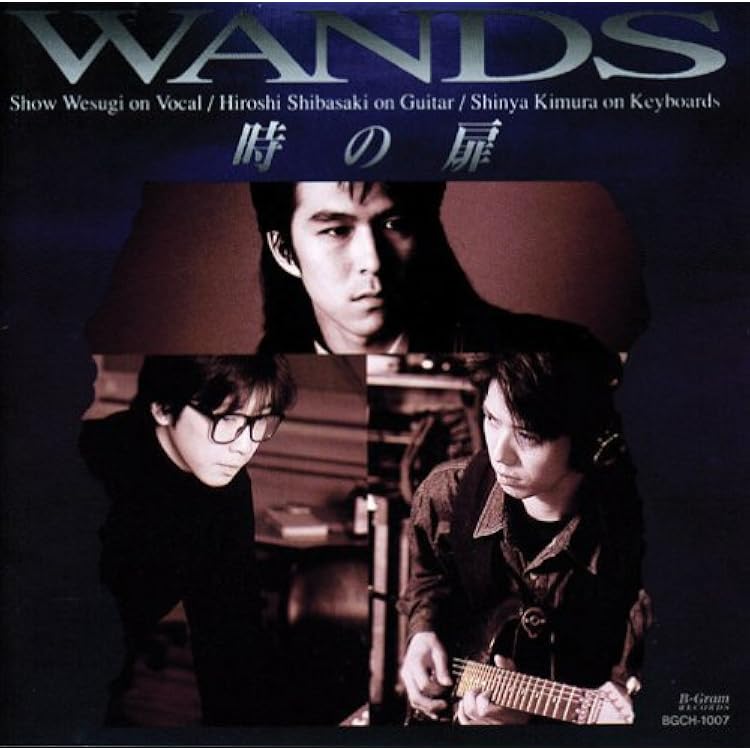 Amazon.co.jp: complete of WANDS at the BEING studio(期間限定