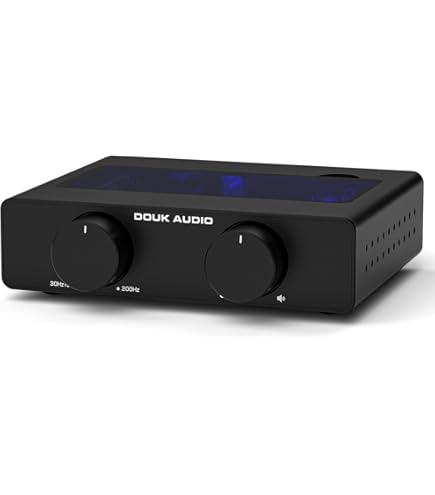 Amazon.co.jp: Sabaj A20a アンプ パワーアンプ HI-FI クラスD