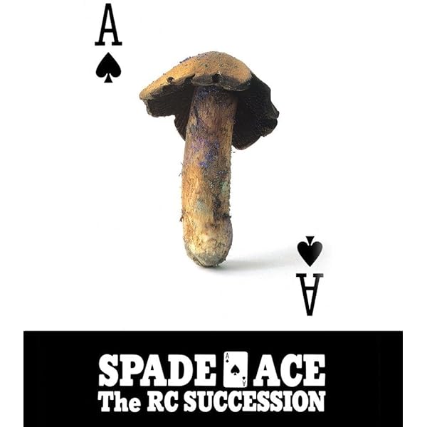 Amazon.co.jp: the TEARS OF a CLOWN [Blu-ray] : RCサクセション: DVD