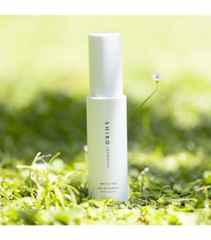 Amazon.co.jp: SHIRO ホワイトティー フレグランスディフューザー(容器