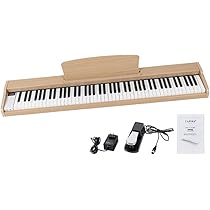 51ZLWMAnJNL._AC_UL210_SR210,