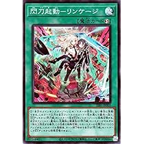 51j7FWeDbKL._AC_UL210_SR210,