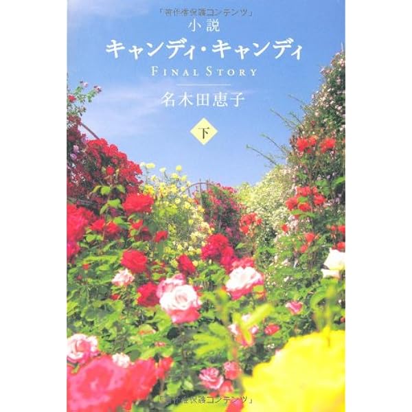 Amazon.co.jp: 小説キャンディ・キャンディ FINALSTORY （上） : 名