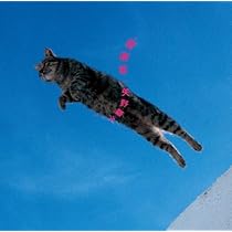 Amazon.co.jp: akiko - 矢野顕子: ミュージック