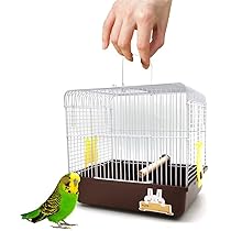 6182pp6YHNL._AC_UL210_SR210,