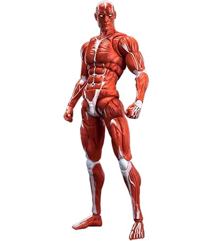 Amazon | FT Champs - Real Madrid: 12 Inch Deluxe Figure ジダン