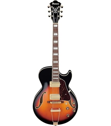 Amazon | GROTE Jazz Electric Guitar Semi-Hollow Body Chrome