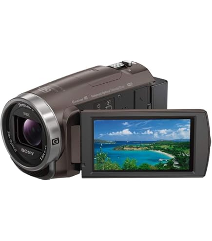 Amazon | SONY ビデオカメラ Handycam CX535 内蔵メモリ32GB ボルドー