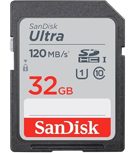 Amazon | Ricoh GR Digital IVデジタルカメラメモリカード2 x 8 GB安全