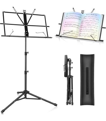 Amazon.co.jp: 沢田研二 ギター弾き語り譜スコア インコンサート 1978