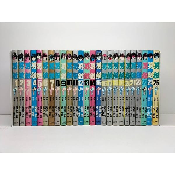 男組 文庫版 全14巻 完結セット (小学館文庫) [マーケットプレイス