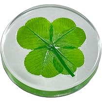 Amazon.co.jp: 本物四葉のクローバー 《Good Luck Pocket Token