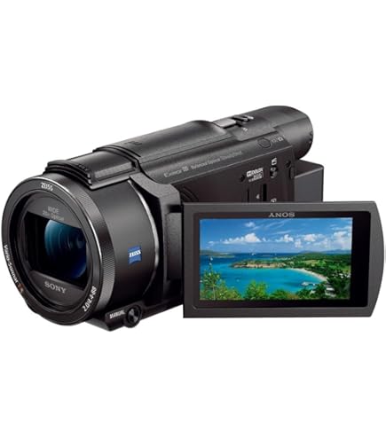 Amazon | SONY 4Kビデオカメラ Handycam FDR-AX30 ブラック 光学10倍