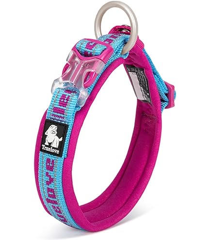 Amazon.co.jp: Collar Malice 岡崎契 オトメイト カラーマリス