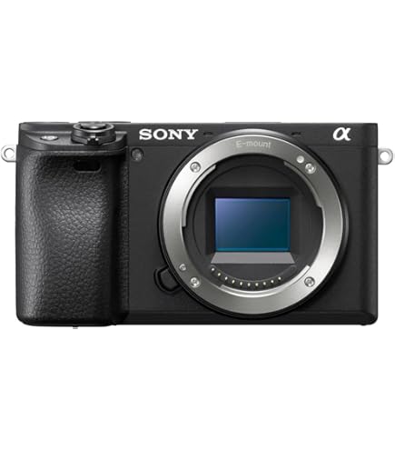 Amazon | SONY ミラーレス一眼カメラ α NEX-6ボディ ブラック NEX-6/B