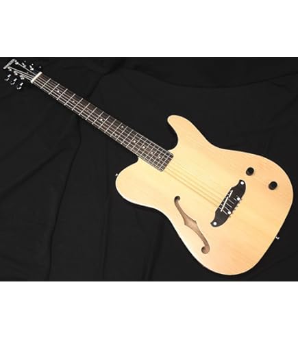 Amazon | SCHECTER OL-FL-P SSTB Oriental Line シェクター 薄胴
