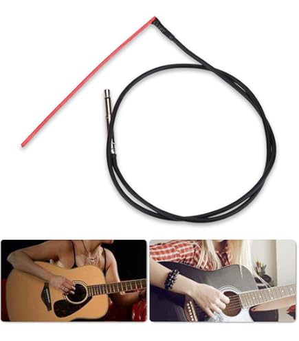 Amazon | FISHMAN フィッシュマン ギターピックアップ AGシリーズ