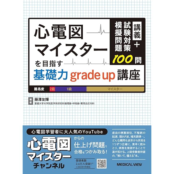 心電図の読み方パーフェクトマニュアル―理論と波形パターンで徹底