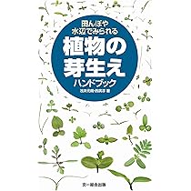 Amazon.co.jp: 植調雑草大鑑(ショクチョウザッソウタイカン) : 浅井 元