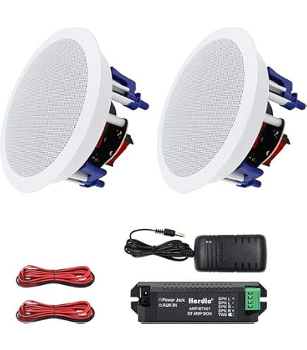 Amazon.co.jp: MASSIVE マッシブ 埋込型 160mmフルレンジスピーカ(ハイ