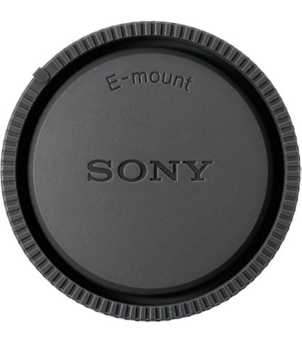 Amazon | SONY(ソニー) コンバーターレンズ APS-C ウルトラワイド