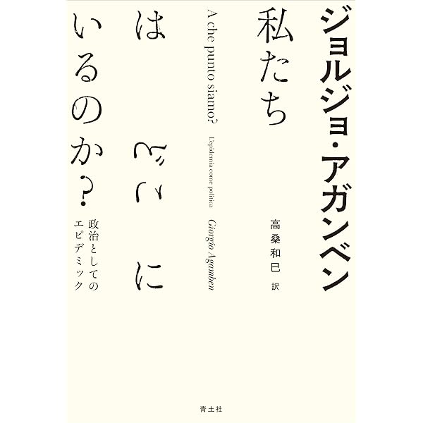 Amazon.co.jp: サンチョ・パンサの帰郷 (思潮ライブラリー・名著名詩選