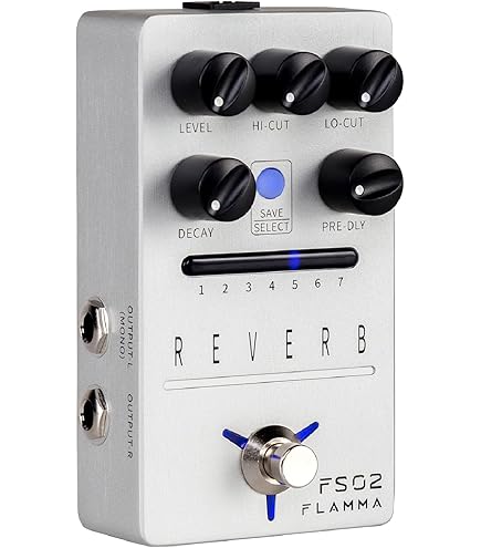 Amazon | Ashdown アッシュダウン アコースティック ギター用