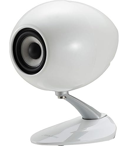 Amazon.co.jp: シロクマ タイムドメインライセンスモデルスピーカー