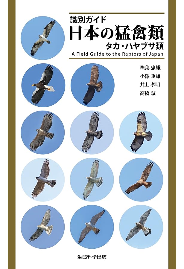 猛禽類学 | 山崎 亨 |本 | 通販 | Amazon