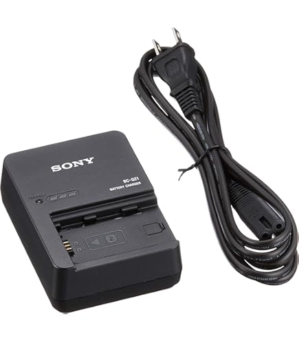 Amazon | BC-U2 バッテリーチャージャー BP-U30/BP-U60専用 | ビデオ