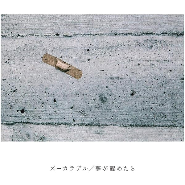 Amazon.co.jp: ズーカラデル: ミュージック