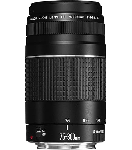 Amazon.co.jp: Canon 望遠ズームレンズ EF-M18-150mm F3.5-6.3 IS STM
