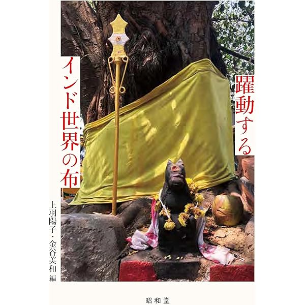 インド大地の布: 岩立広子コレクション | 岩立 広子 |本 | 通販 | Amazon