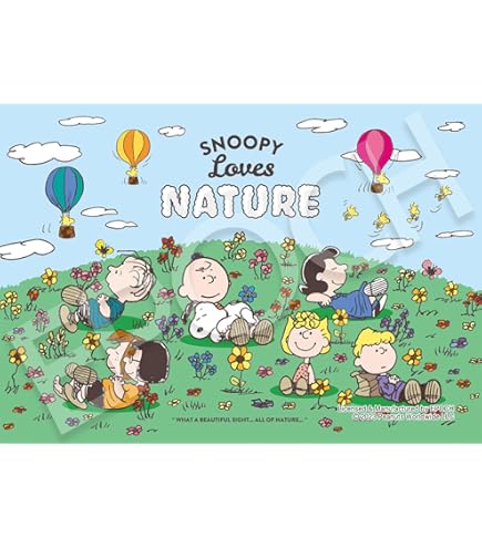 Amazon.co.jp: エポック社(EPOCH) 【アポロのピクチュアパズル