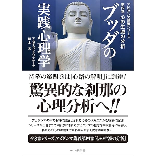 ブッダの実践心理学 第六巻 縁起の分析 アビダンマ講義シリーズ