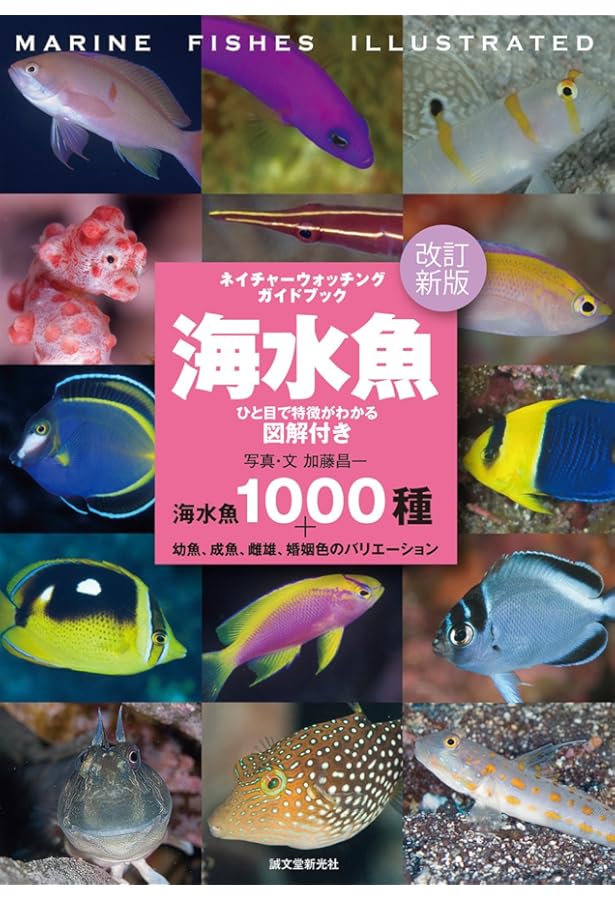 Amazon.co.jp: スズメダイ (ネイチャーウォッチングガイドブック