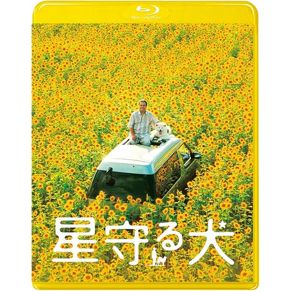 Amazon.co.jp: マエストロ！ [Blu-ray] : 松坂桃李, miwa, 西田