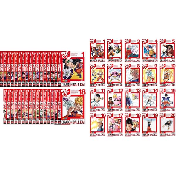 ドラゴンボール改 魔人ブウ編 DVD 全巻 20巻セット 201363