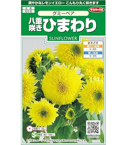 Amazon | サカタのタネ 実咲花5611 ひまわり ゴッホのひまわり