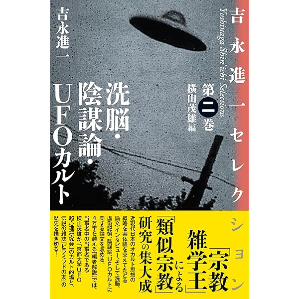 Amazon.co.jp: 何かが空を飛んでいる eBook : 稲生平太郎: Kindleストア