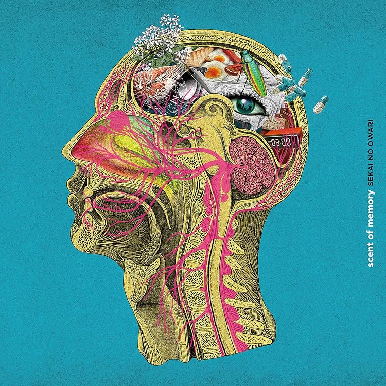 Amazon.co.jp: Nautilus (完全数量限定デラックス盤)(3枚組) - SEKAI