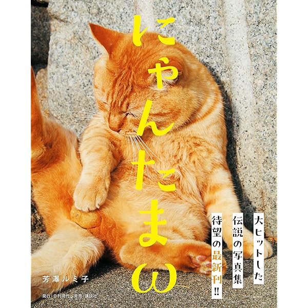 Amazon.co.jp: にゃんたま 電子書籍: 芳澤ルミ子: Kindleストア