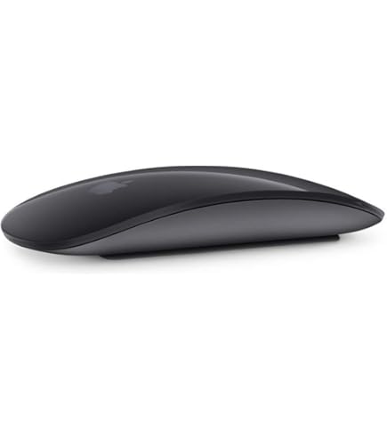 Amazon.com: Apple Magic Mouse ​​​​​​​ (Wireless, Rechargable