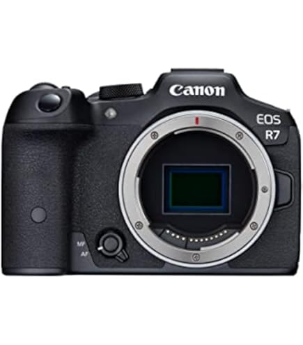 Amazon.com : Canon EOS 5D Mark III 22.3 MP Full Frame CMOS Digital