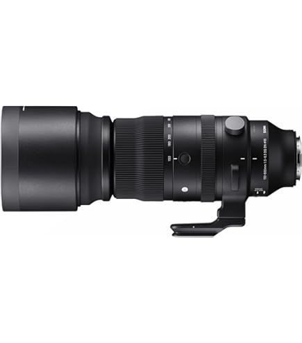 Amazon.com : TAMRON Super Zoom Lens SP 150-600mm F5-6.3 Di VC USD