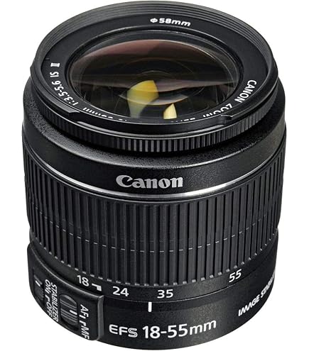 Amazon.com : Tamron AF 18-200mm f/3.5-6.3 XR Di II LD Aspherical