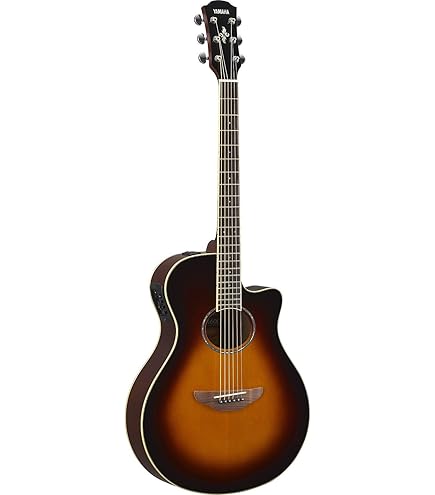 Amazon.com: Yamaha APX700II 12-String Thinline Acoustic-Electric