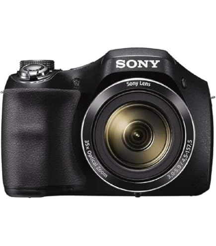 Amazon.com : Sony Cybershot DSC-H10 8.1MP Digital Camera with 10x