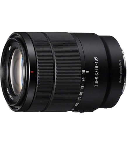 Amazon.com : Sony SELP18105G E PZ 18-105mm F4 G OSS (Renewed